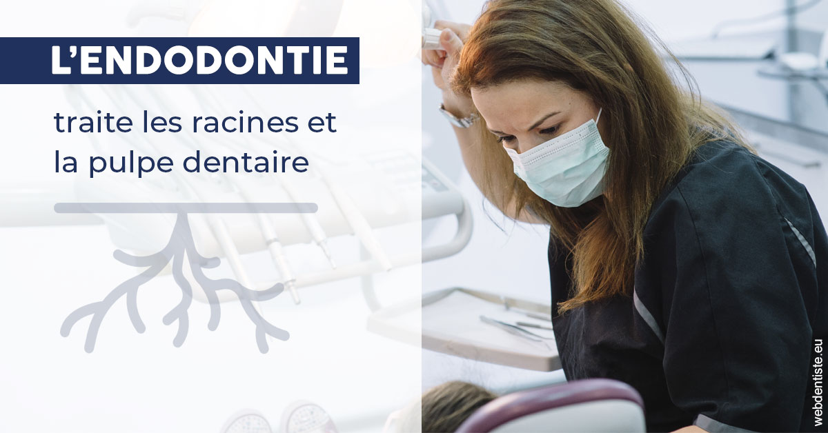 https://dr-hassaneyn-allemand.test-moncomptewebdentiste.fr/L'endodontie 1