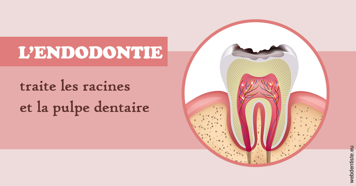https://dr-hassaneyn-allemand.test-moncomptewebdentiste.fr/L'endodontie 2
