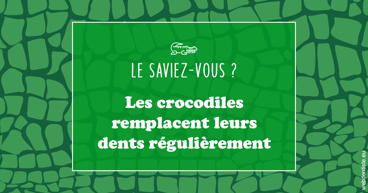 https://dr-hassaneyn-allemand.test-moncomptewebdentiste.fr/Crocodiles 1